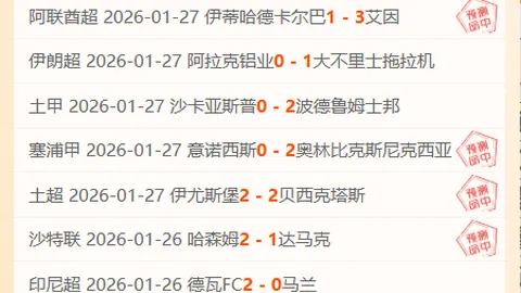 “法兰克福攻击手：对抗拜仁争取得分，快速反击为胜利之本”